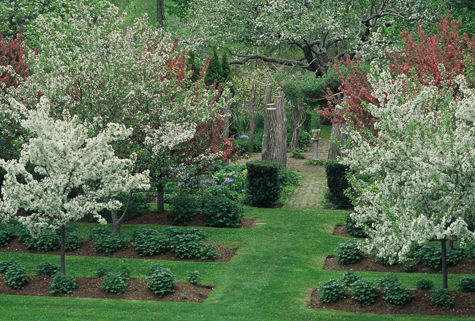 TAC+FIVE_Inevitable garden